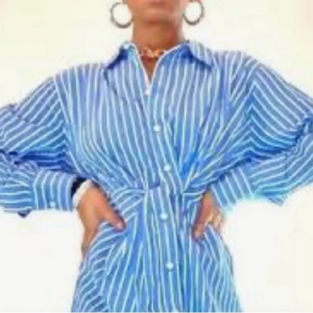 Steve Madden Blue and White Striped Shirt - Picture 3 of 9